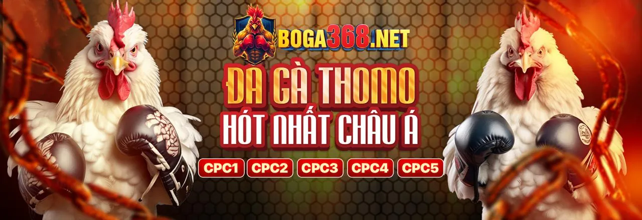 Hình ảnh đa dạng trò chơi tại 1xbet chính thức
