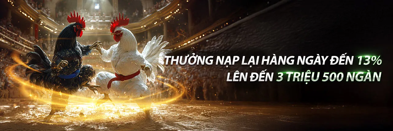 Đá gà trực tuyến 1xbet chính thức